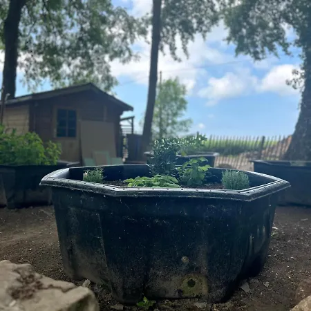 Διαμέρισμα Poppelvitz